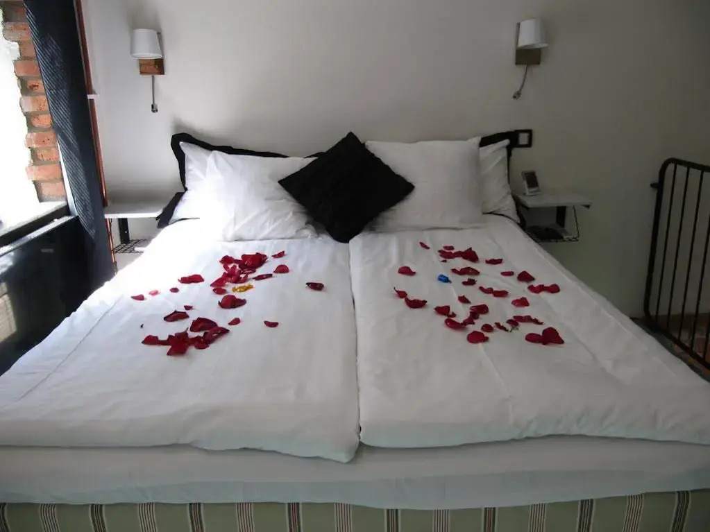 IQsuites