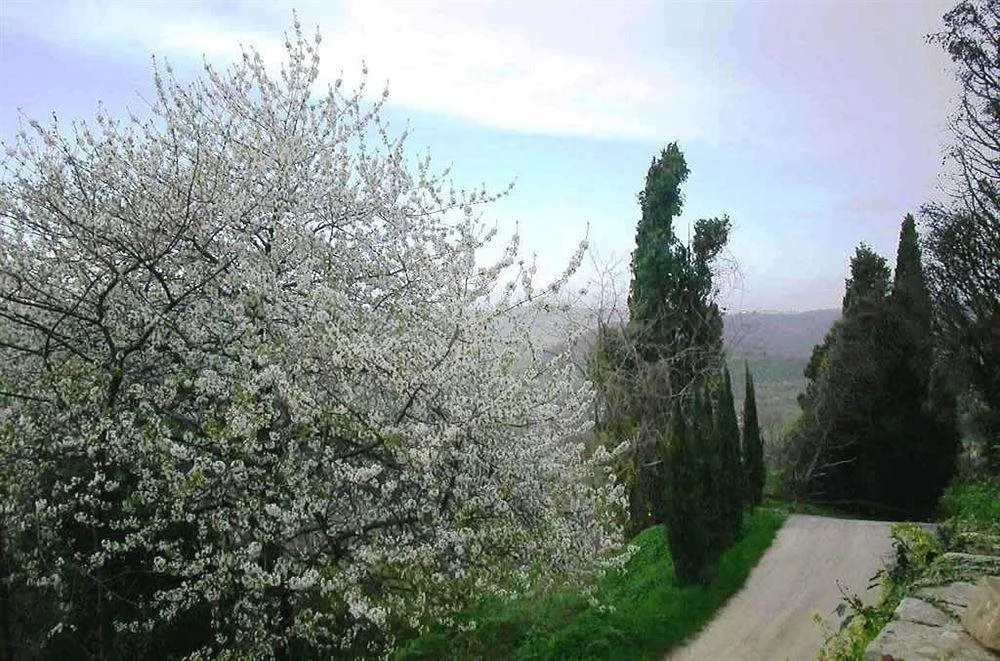La Pietra Grezza
