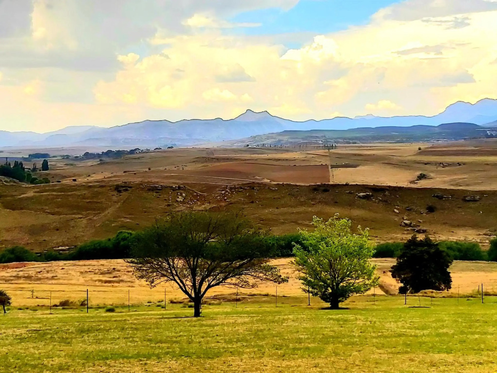 At Meerkat and Rehoboth Self Catering Lodges, Clarens
