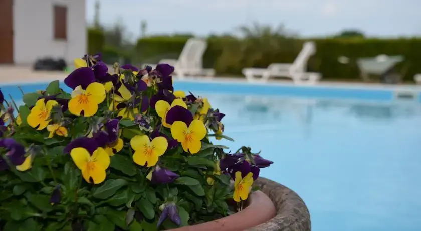 B&B Edelweiss