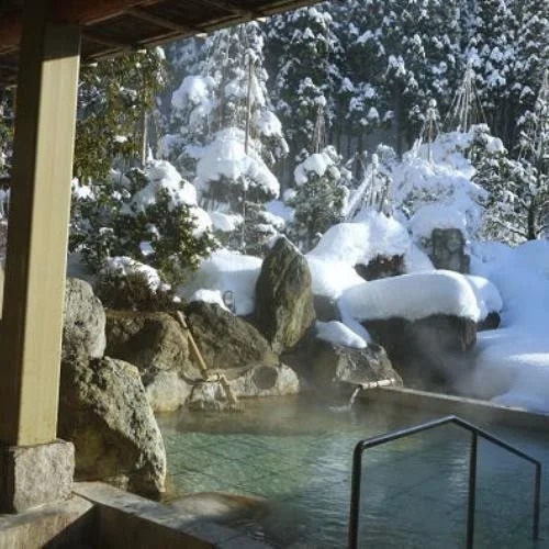Baden Akebi