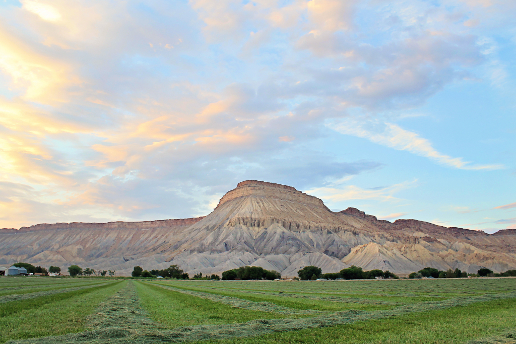 Holiday Inn Express Hotel & Suites Grand Junction by IHG