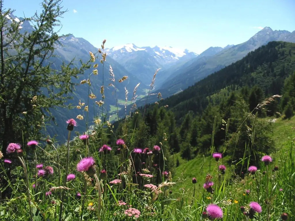 Chalet Claudia