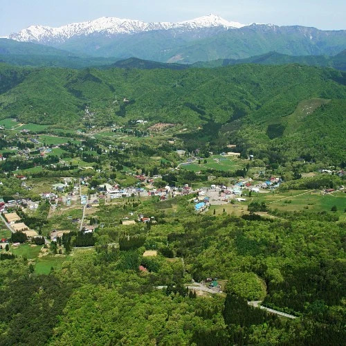 Ork Hirugano