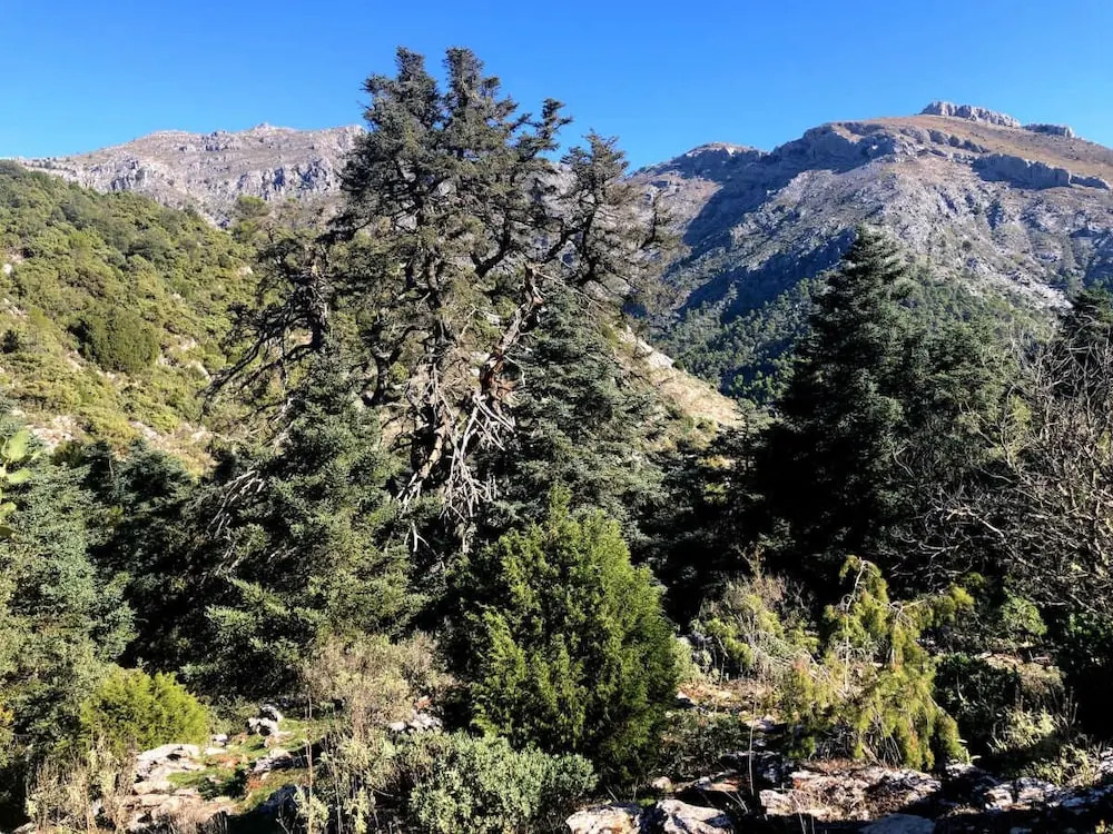 Nomadara - Boutique B&B