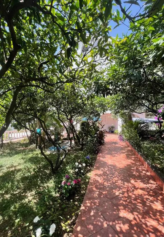 R&A Apartmani Bečići