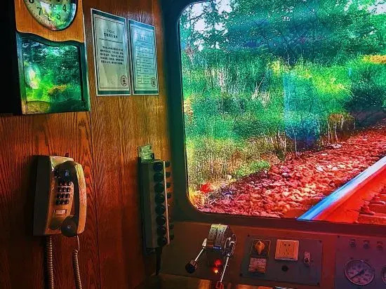 Green Train Leisurely Time