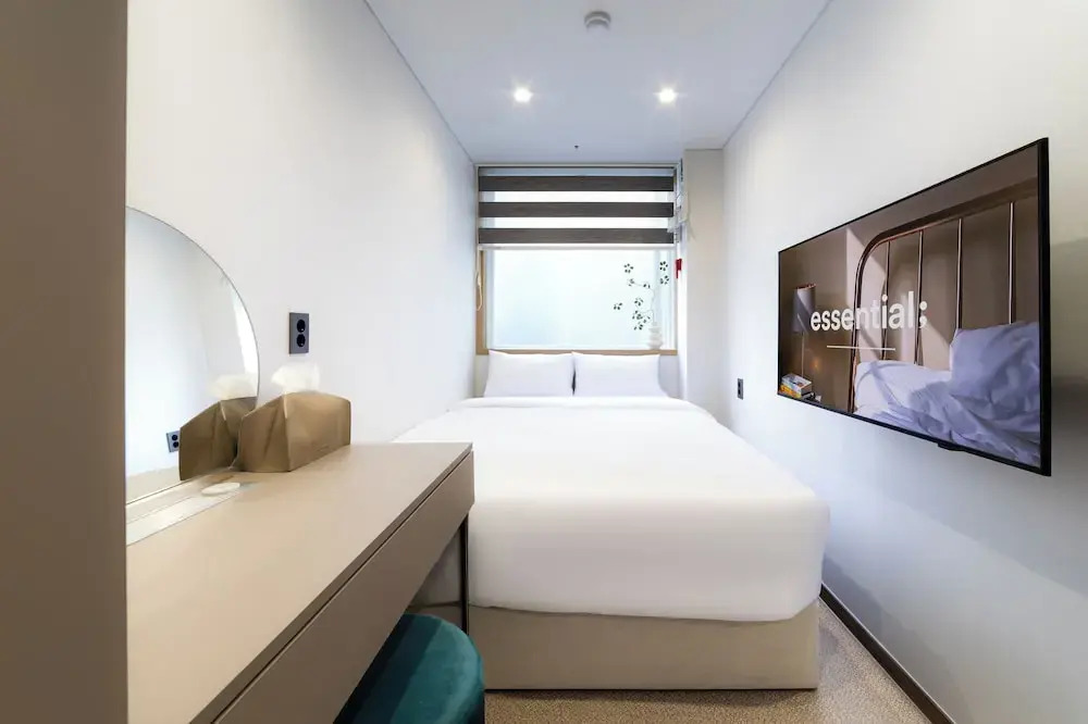 lazy tiger hotel