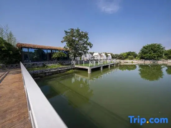 Suzhou · Meet | Tent Camping Designer Meisu B&B (the Taihu Lake Xishan Island Store)