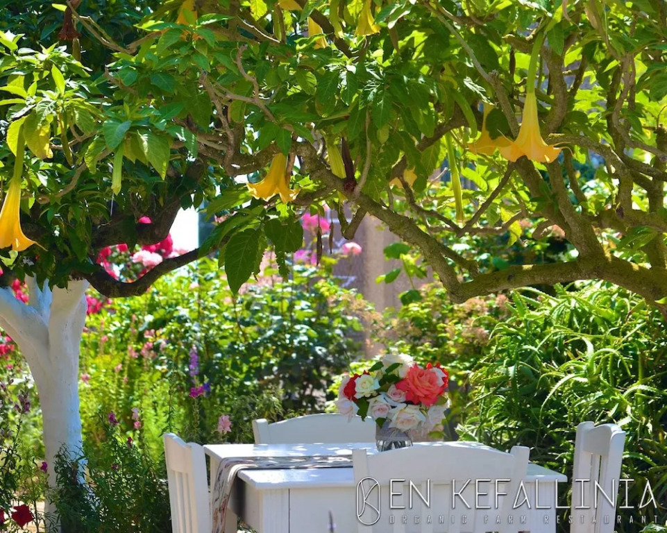 En Kefallinia Villas - Adults Only