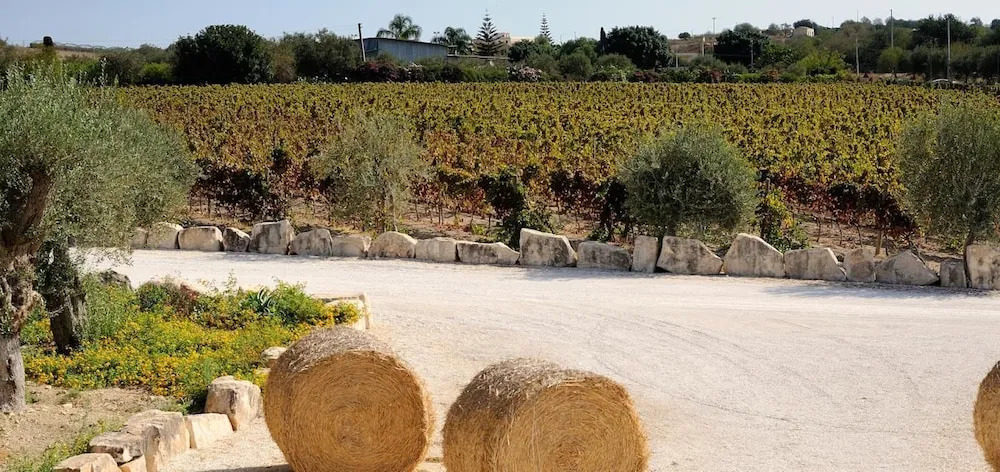 Riofavara Winery in Val di Noto