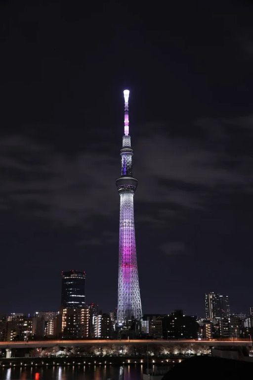 Cob Hotel Asakusa