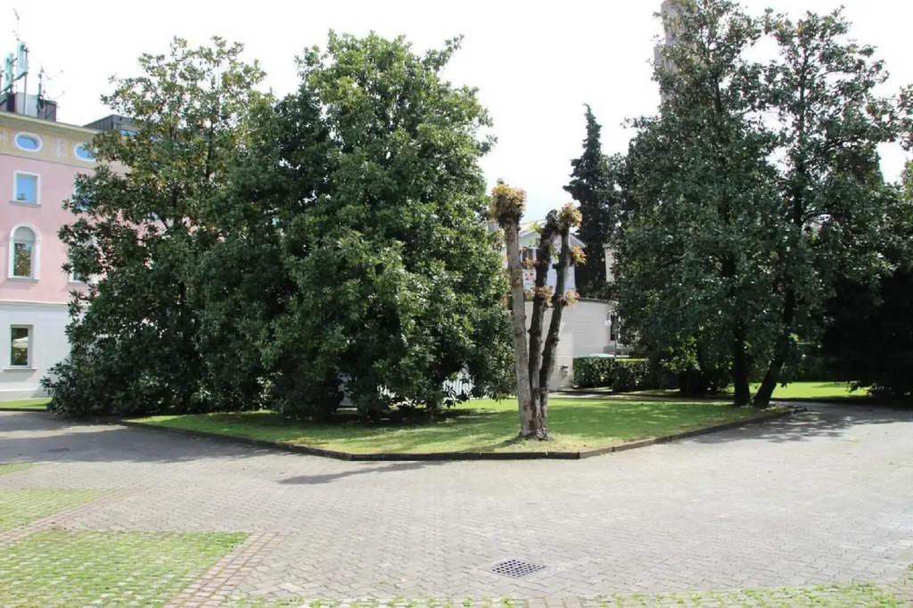 Park Hotel Villa Leon dOro