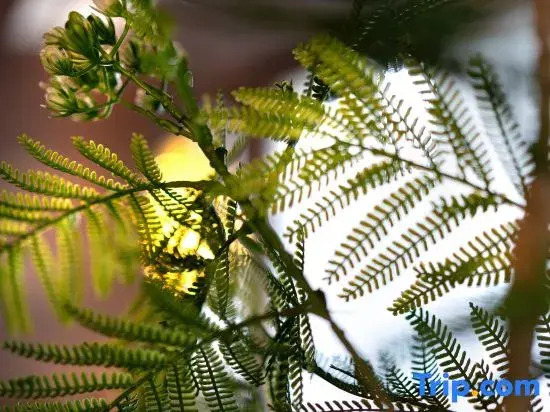 Runhao Haven Hotel(Chengdu Phoenix hill sports Park)