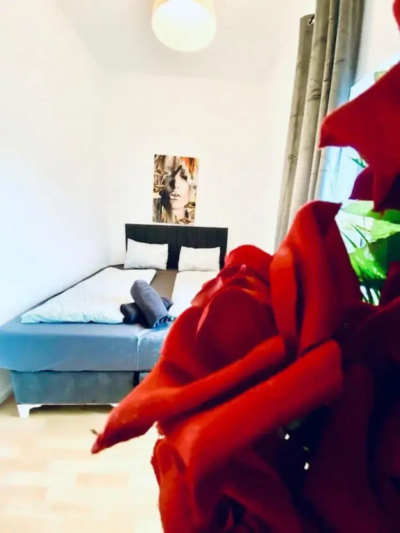 Budget Friendly 4 BR Apt for Groups