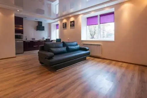 Studio Apartment on Karbysheva