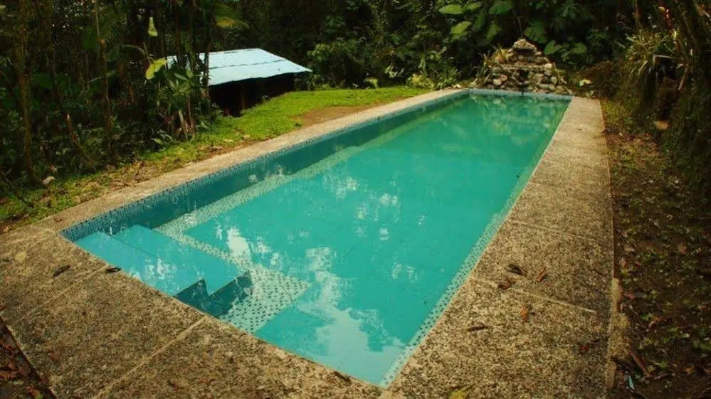Urcu de Mindo Lodge