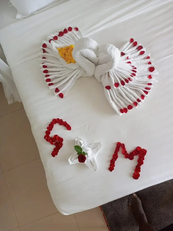 The Voice Hotel