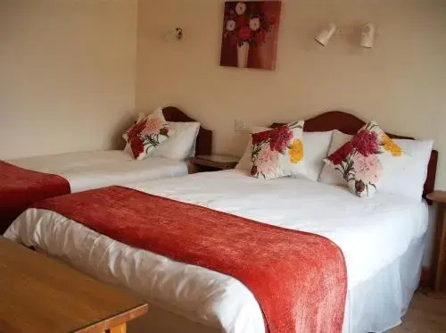 Maryville Bed and Breakfast