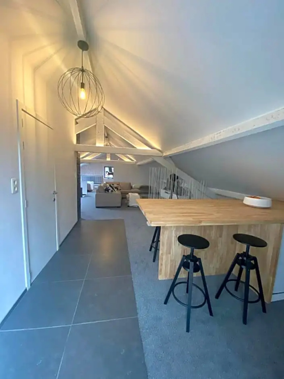 B&B t zwart peird