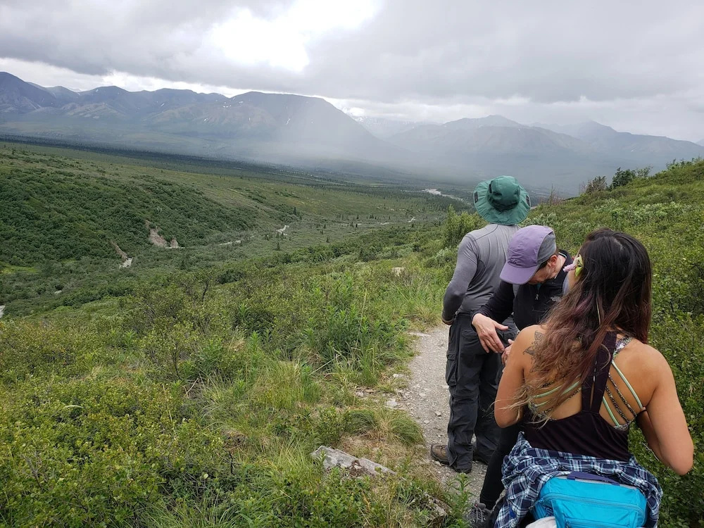 Denali Wild Stay