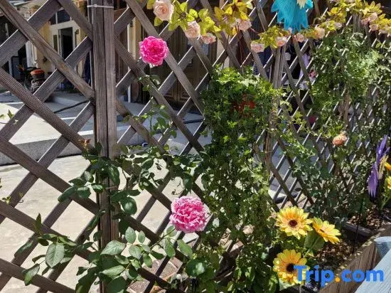 Yuliao Courtyard Homestay