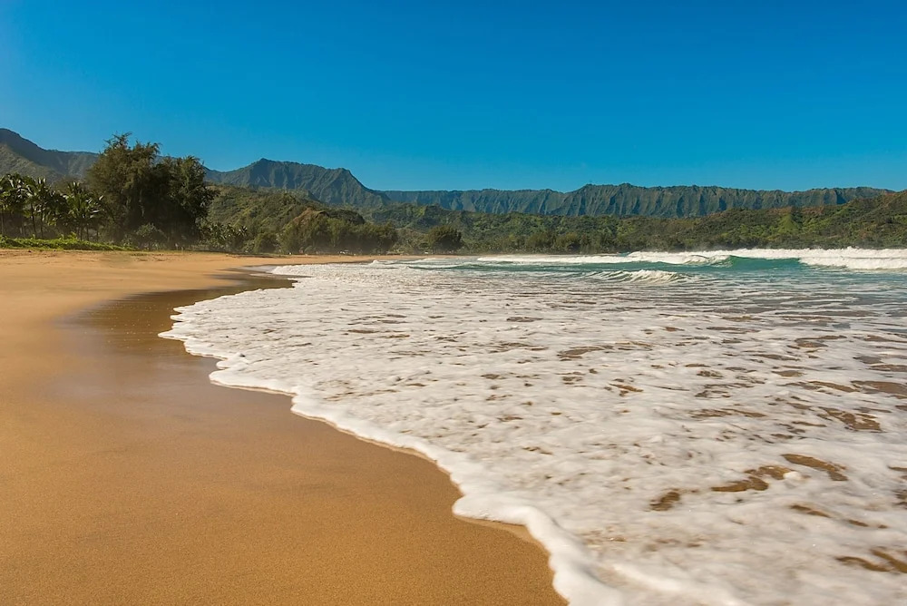 Hale Hoku