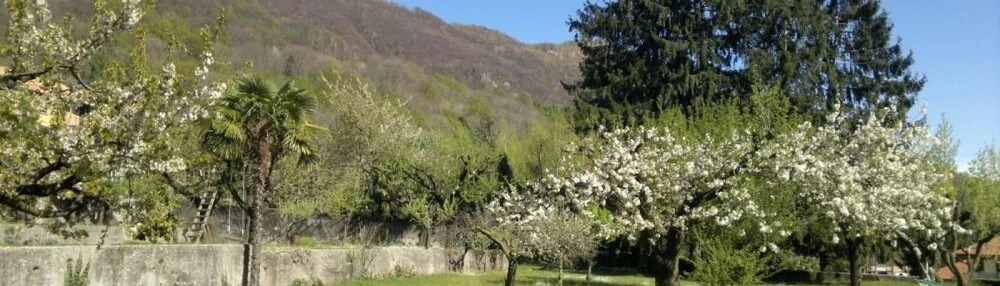 B&B Le Oche di Bracchio