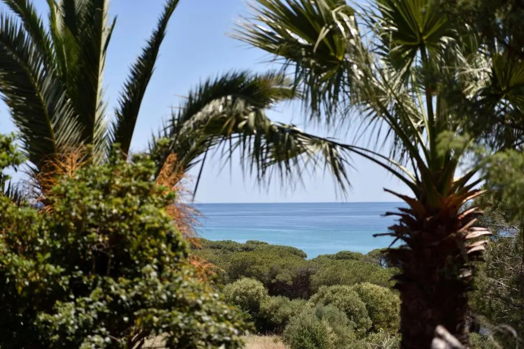 Casa Vacanze Osala