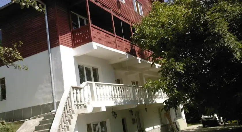 Vila Poienita