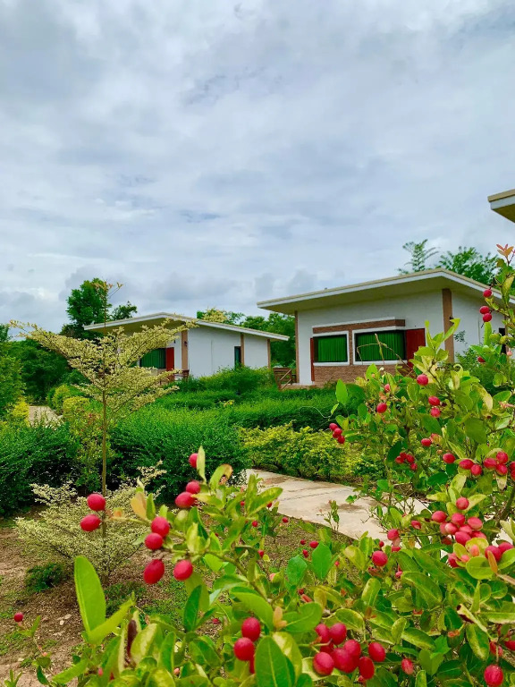 Ina Boutique Home Nan