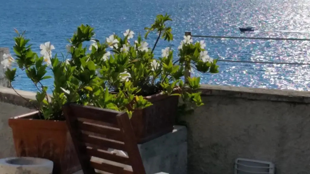 Le Sirene