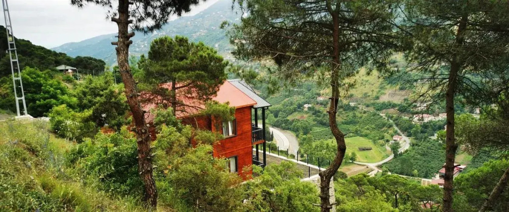 Forest Mansion