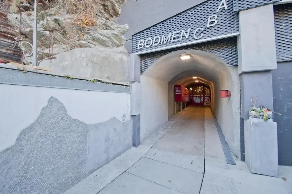 Haus Bodmen C Apartment Edelweiss