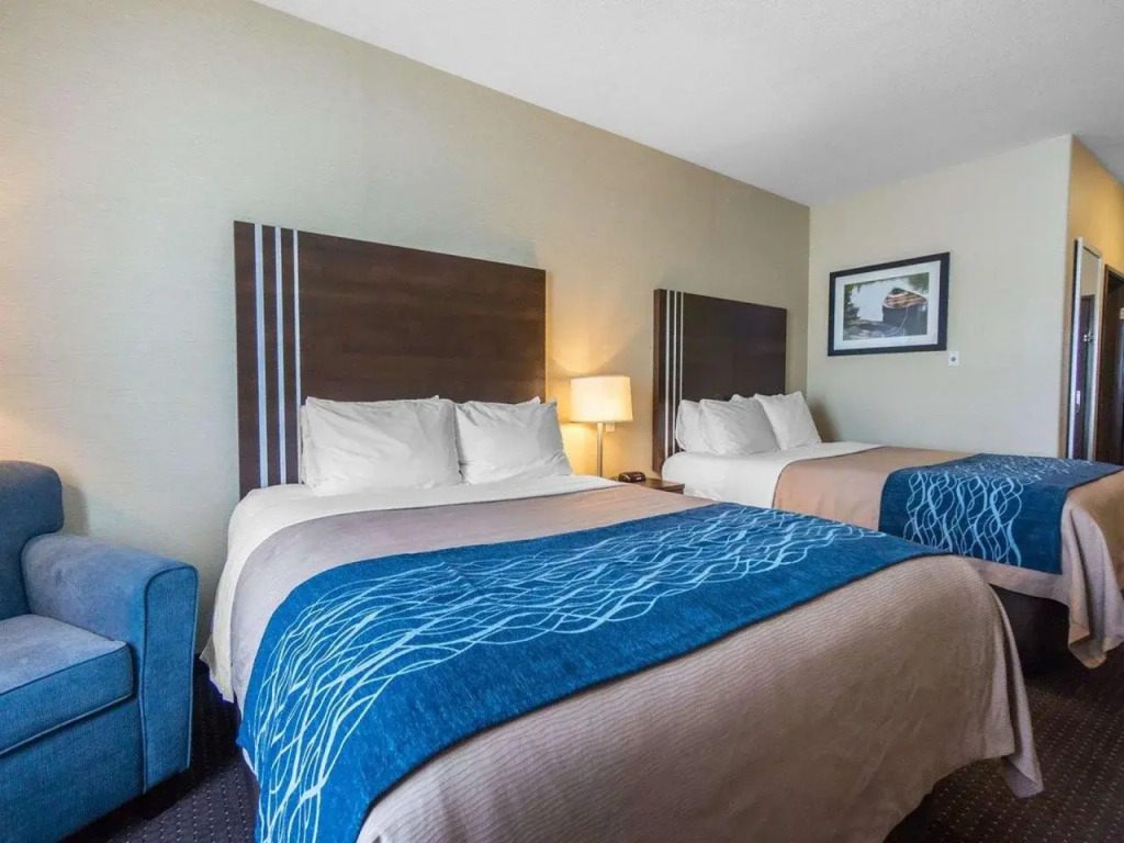 Comfort Inn & Suites