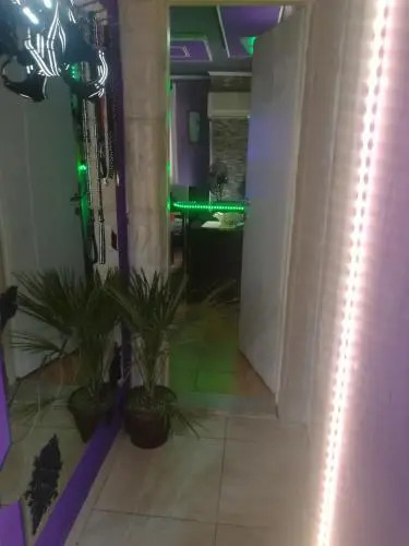 S-type apartment in the center