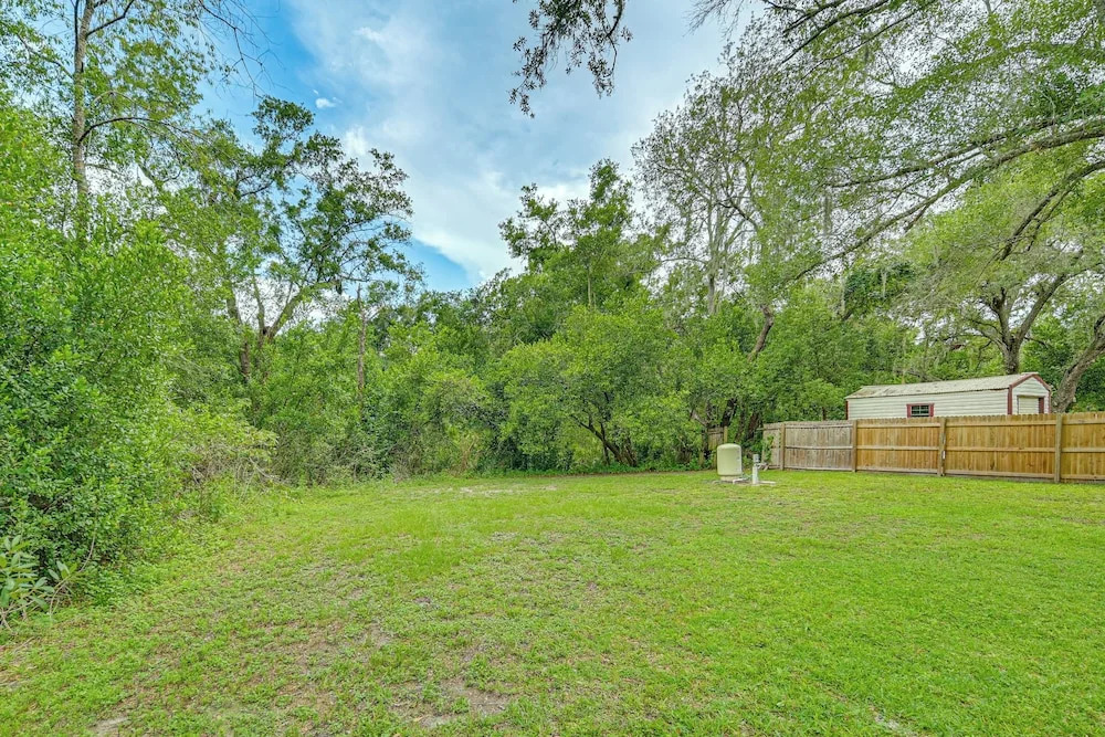 3 Mi to Usf: Dog-friendly Home w/ Large Yard