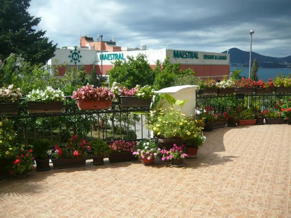 Apartmani Kažanegra33