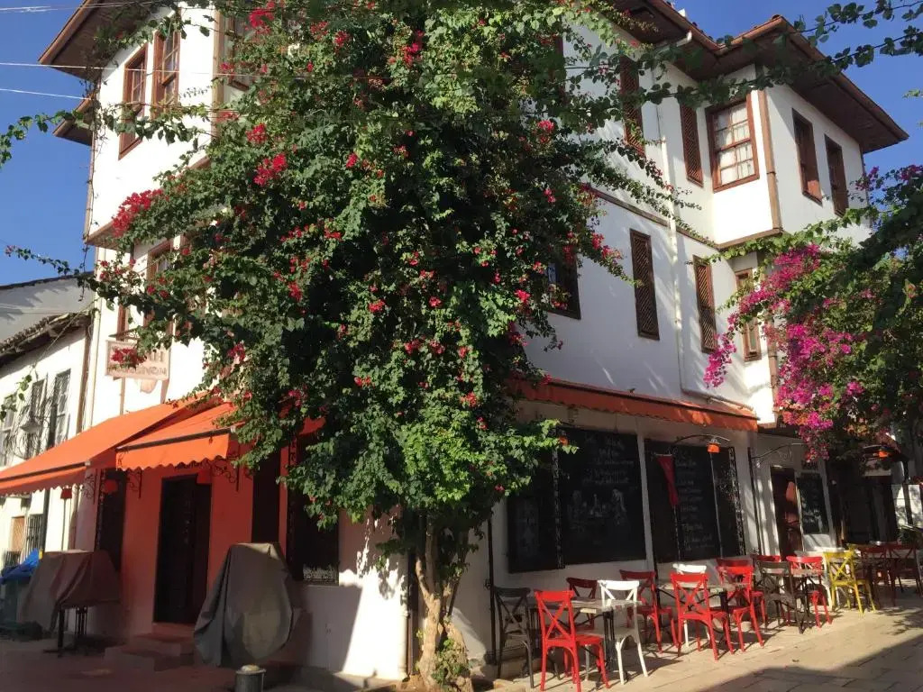 Sabah Gurses Villas