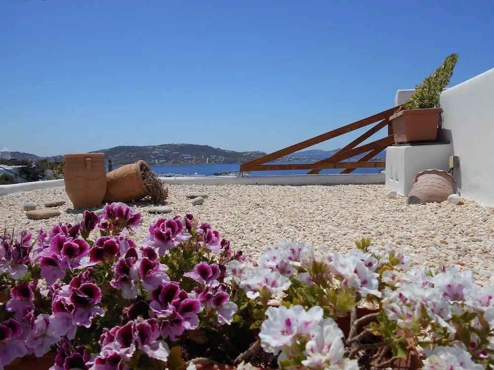 La Veranda of Mykonos Traditional Guesthouse
