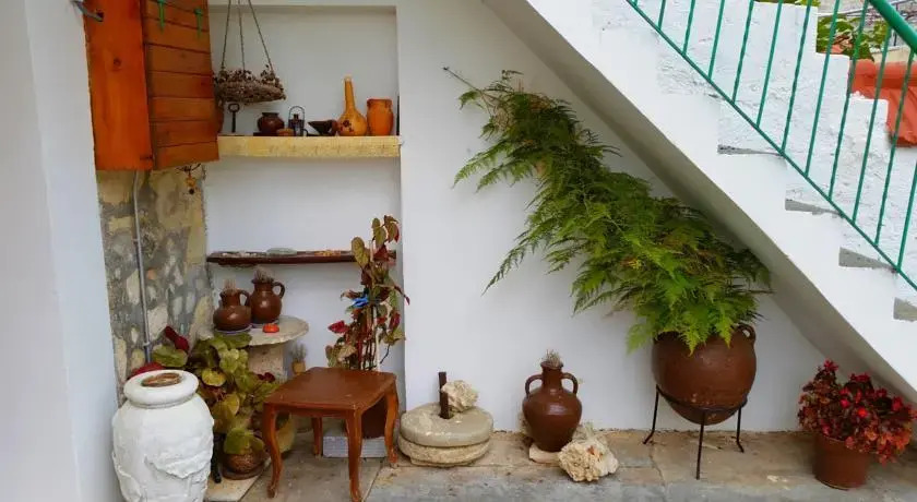 Jungle House