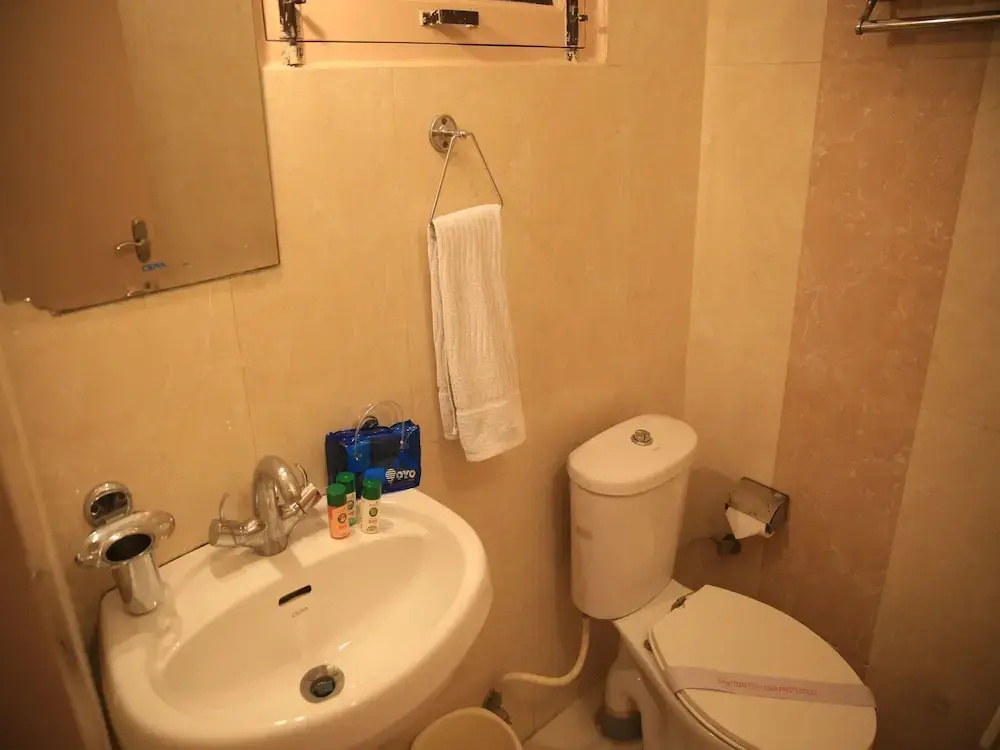 OYO 4300 Hotel The Royal Placid