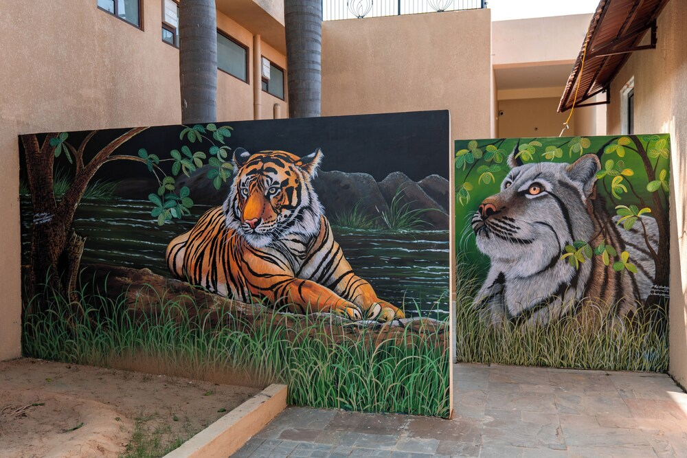 ELIVAAS Tiger Cave Suite with Pvt Pool