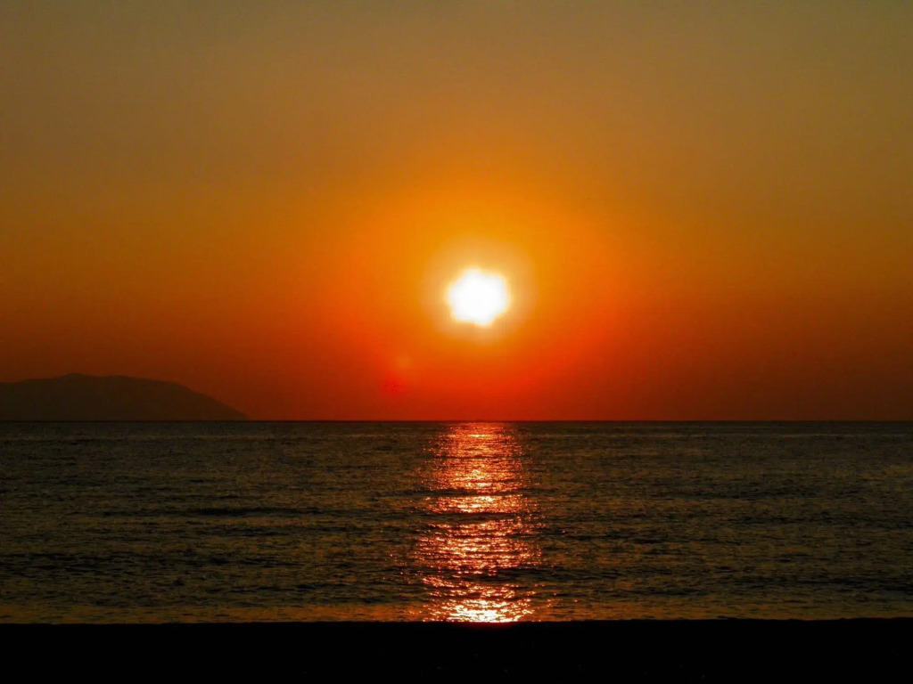 Alpha Stegna Sun
