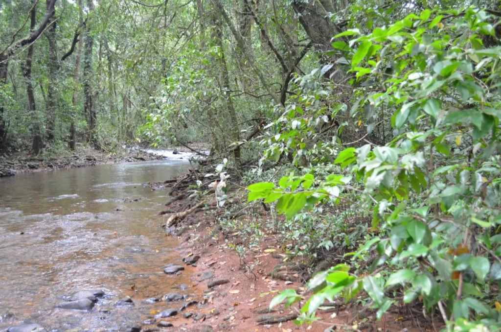 Mangaal Farmstay Goa