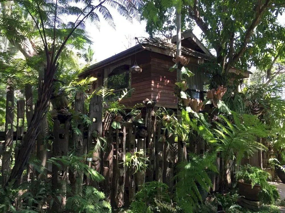 Fern Paradise