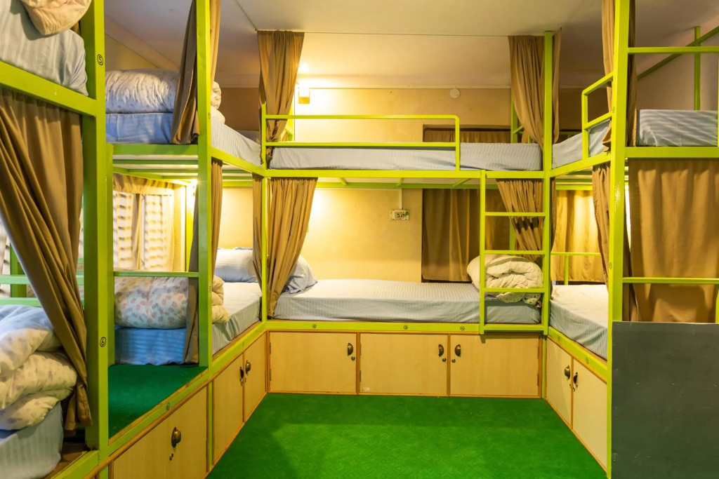 Big Tree Hostel