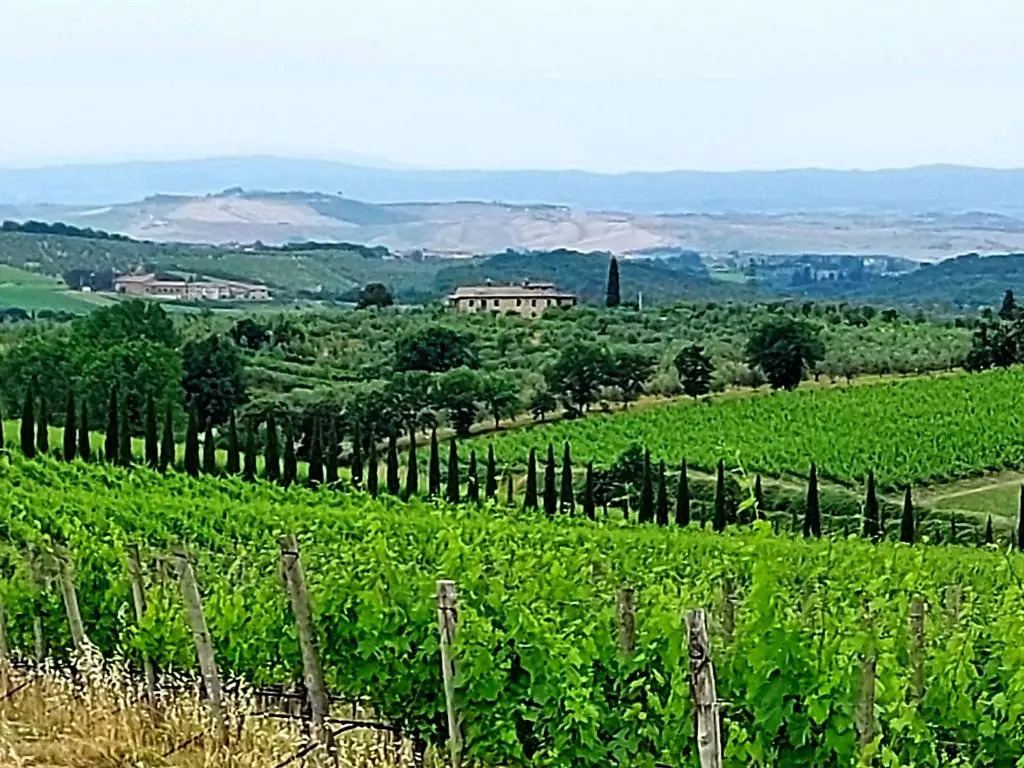 La casa di Elvira