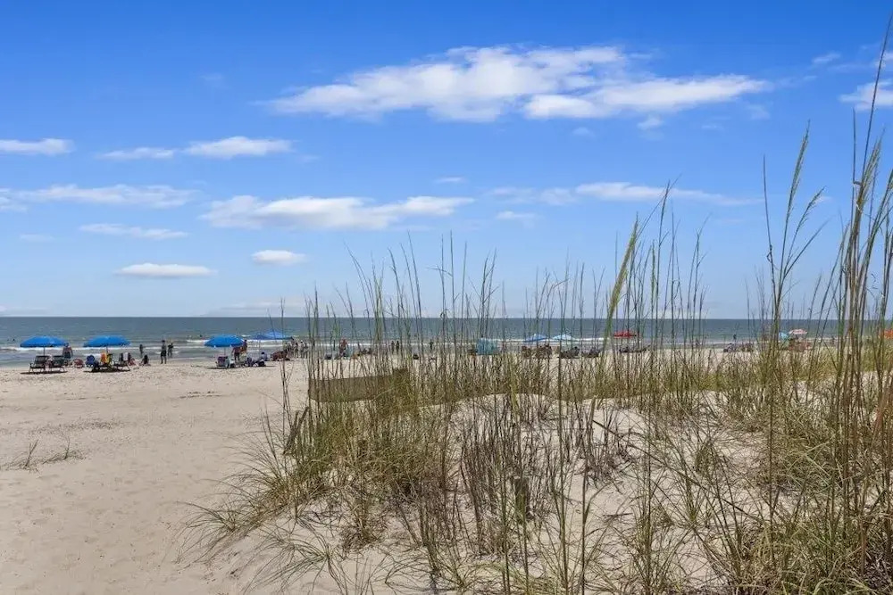 How You Dune? - Beachwood Place 2 Bedroom Condo