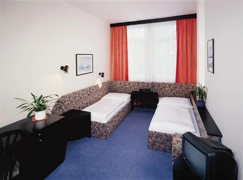 Hotel U Tri Lvu